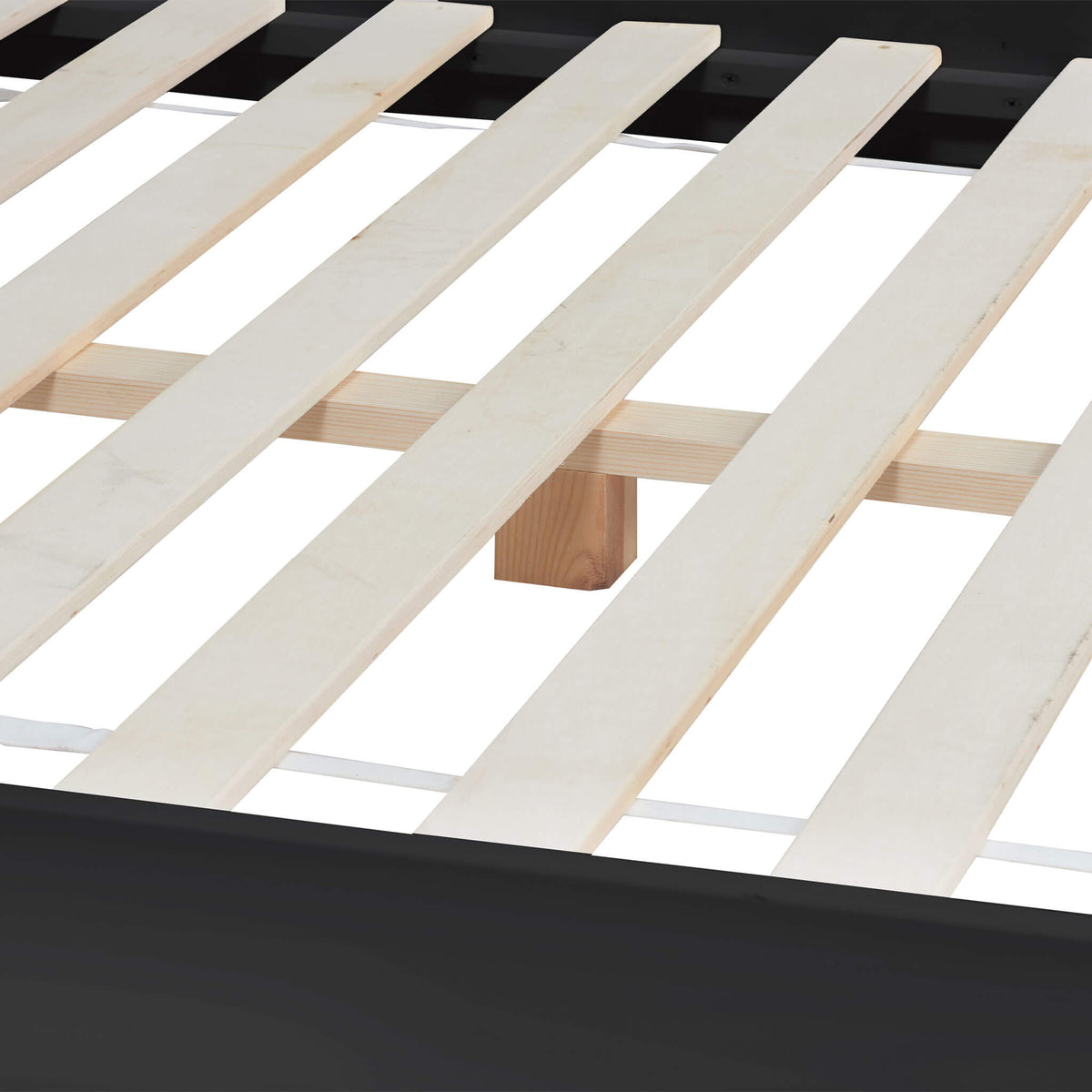 Darwin Bed Black Base