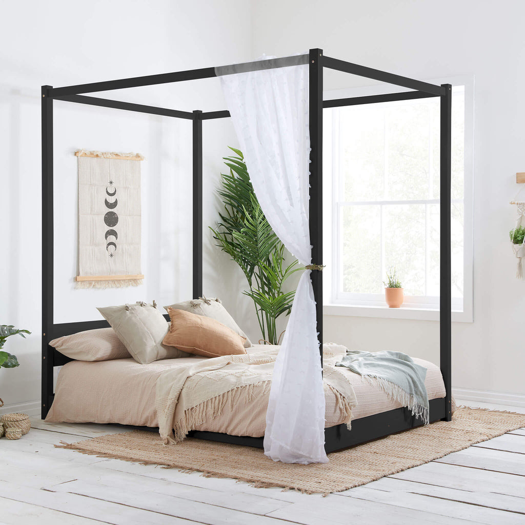 Darwin BEd Black